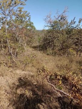 Vendo Ágio de Chácara Urgente, 20.000,00 + Parcelas de 999,00, são 20.000m2!