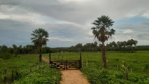 Propriedade Rural em Barão de Grajaú. 20 hectares. Beira de rio. Povoado cana.