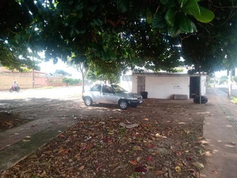 Borracharia 