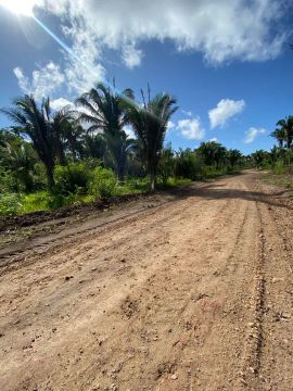 Terreno com área verde em local tranquilo