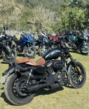 Harley Davidson XL883N 2010