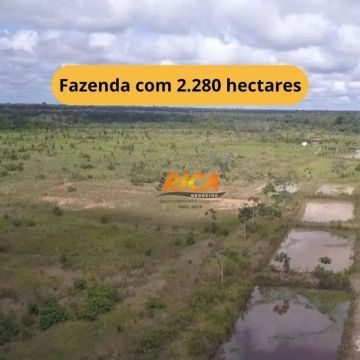 Vende-se uma excelente Fazenda às Margens da BR-319  Humaitá-AM