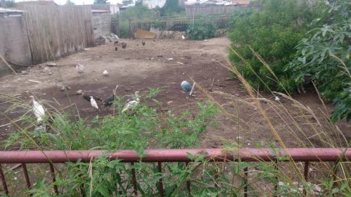 TERRENO DE POSSE NO BOLAXA 