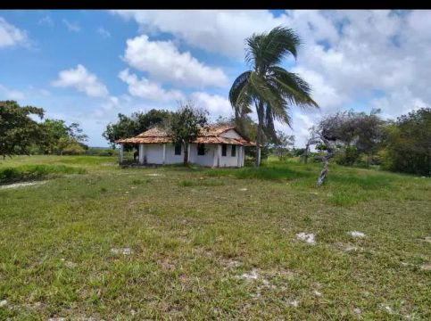 Fazenda em Praia do Forte (Mata de São João) - Praia do Forte - Mata de São João/BA