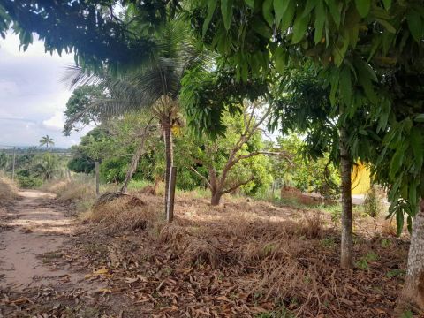 Vende-se 