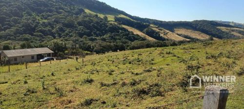 Sítio à venda, 344850 m² por R$ 1.400.000,00 - Sete Salto - Palmital/PR