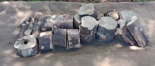 Lenha Frutífera Laranjeira Goiabeira para defumação Pit smoker laranja goiaba parrilha 