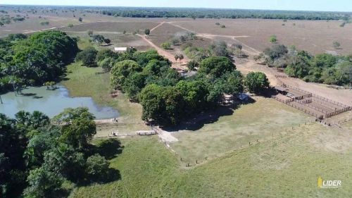 Fazenda à venda, AREA RURAL DE PEIXE-TO - Peixe/TO