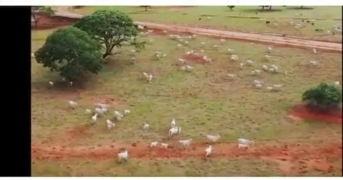 Fazenda em Unaí