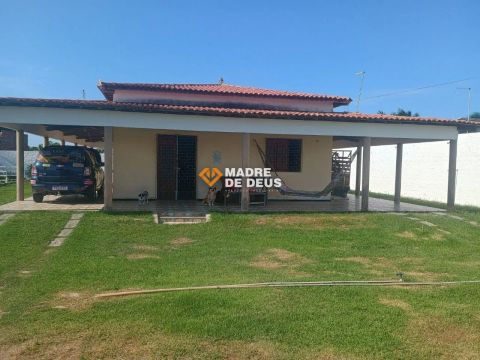 Sítio dos Sonhos em Pindoretama - Oportunidade Única!