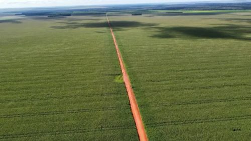 Fazenda em Campos De Júlio-MT