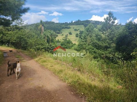 Sítio em Cruzinha - Cruzinha - São Francisco de Paula/RS