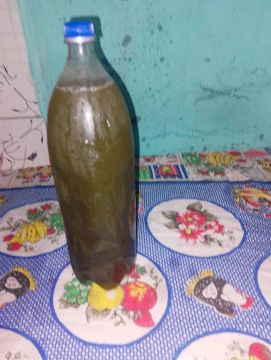 Caldo d cana