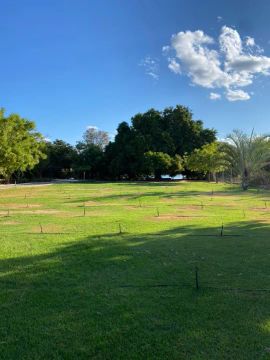 Terrenos às margens do rio São Francisco