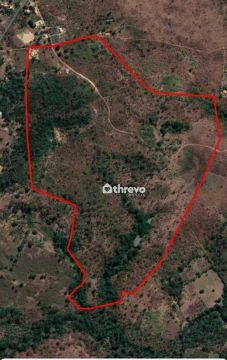 Fazenda com 4 dormitórios à venda, 705000 m² por R$ 1.000.000 - Área Rural - Floriano/PI