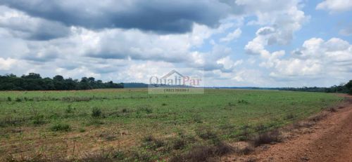 Fazenda a venda em Terra Nova MT, próximo da cidade e da rodovia 163