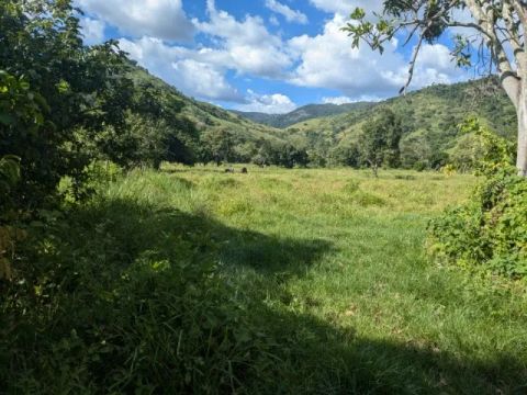 Terreno 11.829m² - Córrego do Mantimento (próx. Córrego Novo) 