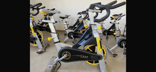Bike Spinning marca Matriz Livestrong 