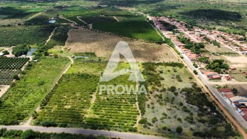 Fazenda Produtiva de 12,5 Hectares a venda localização Estratégica e Produção Orgânica.
