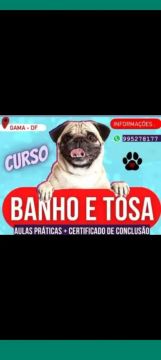 Curso de Banho e Tosa para Cães em Gama - DF