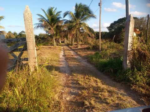 Vendo excelente sítio em alagoinhas 