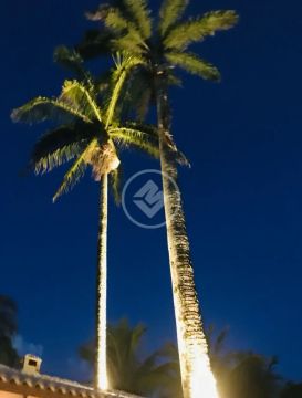 Linda Casa em Pernambuco codigo: 111130