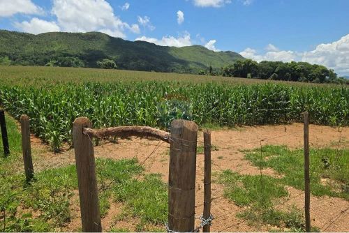 [À VENDA] Sitio com 45 hectares na Serra da Canastra - Delfinópolis MG