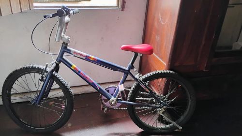 Bicicleta 