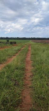 R$123 Milhões Fazenda a venda 10.312 hectares em Marcelândia-MT