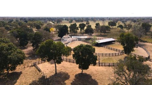 Fazenda- 10.700 HA- Pantanal Alto- Nhecolândia- MS