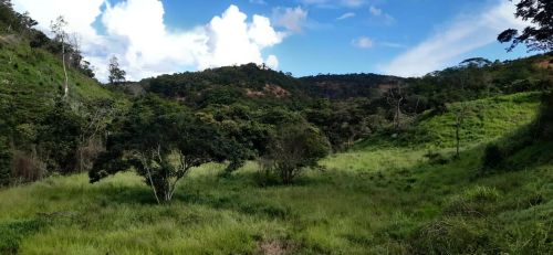 Vendo fazenda OPORTUNIDADE 