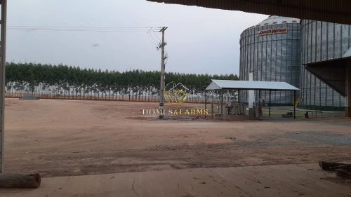 Vende esta propriedade de porteira fechada em nova Ubiratan - MT