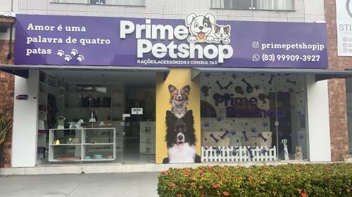 Sala pronta para consultório veterinário