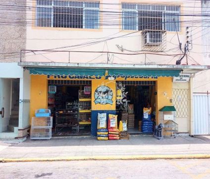 Loja à venda, 100 m² por R$ 100.000,00 - Centro - Araruama/RJ