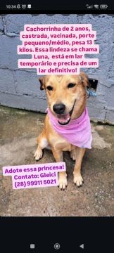 Cachorrinha para adoção!