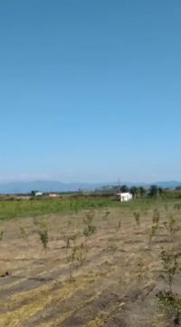 Vendo excelente área plana com 132.000 m2 em Piranema
