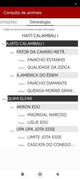 Cavalo mangalarga marchador 