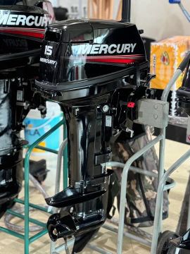 Motor Mercury 15hp - Novo 