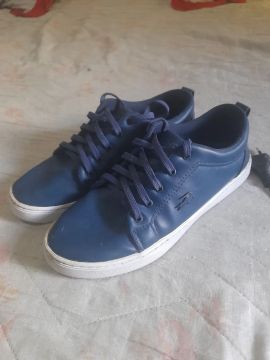 Tênis lacoste Azul Masculino
