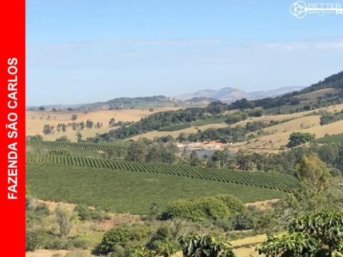FAZENDA DE CAFÉ 445 ALQUEIRES - COM SEDE ANTIGA - BOM SUCESSO/MG