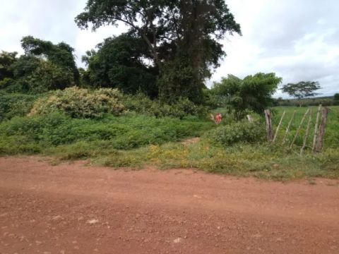 GRANDE OPORTUNIDADE DE INVESTIMENTO EM BURITI BRAVO