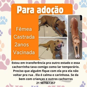 Madalena ?