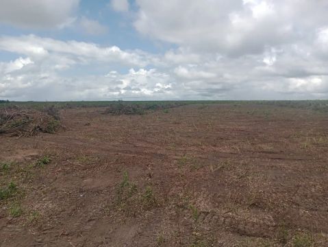 Fazenda 2200 ha caxias