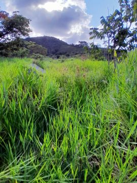 JOAQUIMGOMES,10 hectares [33 tarefas]