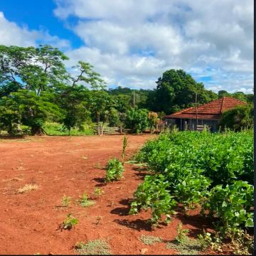 Fazenda em Nova Alvorada e Anhandui