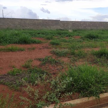 Terreno Novo Mundo - 60.000,00 (ágio) de