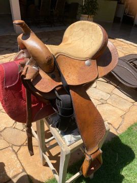 CELA CAVALO QUARTO DE MILHA - Novíssima