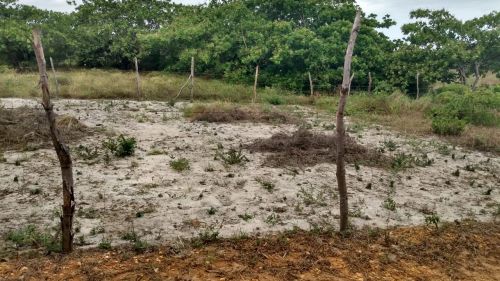TERRENO PRÓXIMO À PRAIA 