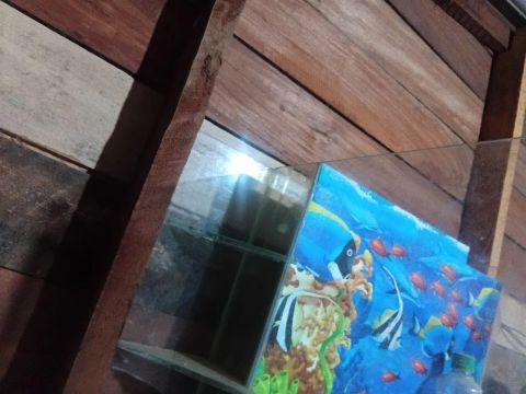 Aquário de vidro 