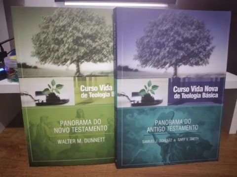 Panorama Bíblico -  Antigo e Novo Tesamentos - Editora Vida Nova